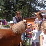 phoca_thumb_m_ponk 165 Fotogalerie